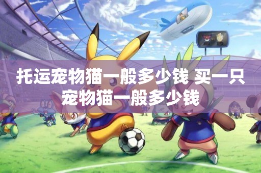 托運寵物貓一般多少錢 買一只寵物貓一般多少錢