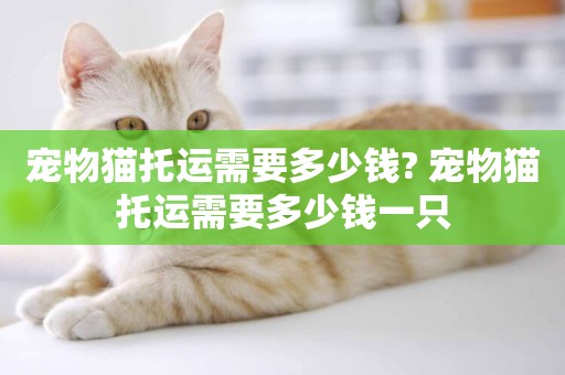 寵物貓托運需要多少錢? 寵物貓托運需要多少錢一只