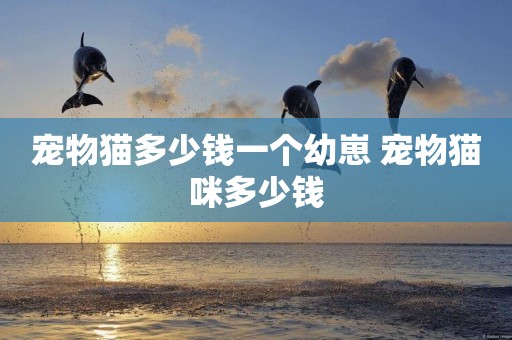 寵物貓多少錢一個幼崽 寵物貓咪多少錢