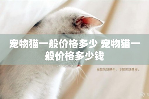 寵物貓一般價格多少 寵物貓一般價格多少錢