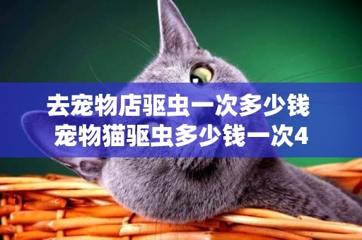 去寵物店驅蟲一次多少錢 寵物貓驅蟲多少錢一次4