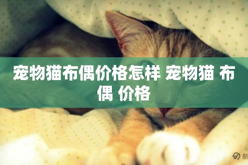 寵物貓布偶價格怎樣 寵物貓 布偶 價格