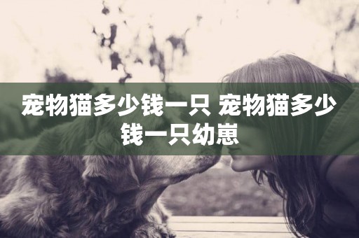 寵物貓多少錢一只 寵物貓多少錢一只幼崽