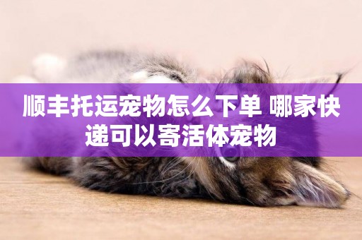 順豐托運寵物怎么下單 哪家快遞可以寄活體寵物