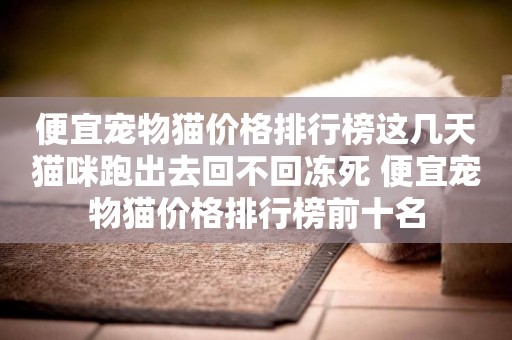 便宜寵物貓價格排行榜這幾天貓咪跑出去回不回凍死 便宜寵物貓價格排行榜前十名