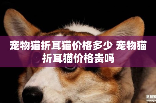 寵物貓折耳貓價格多少 寵物貓折耳貓價格貴嗎