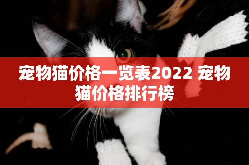 寵物貓價格一覽表2022 寵物貓價格排行榜