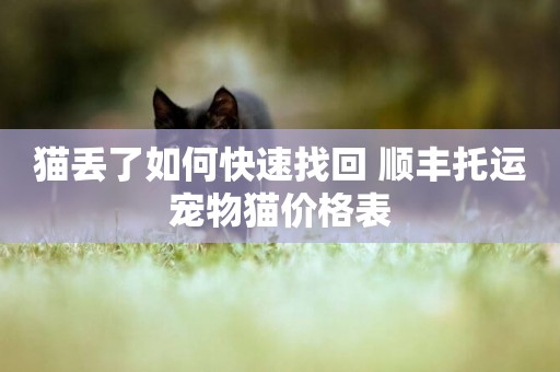 貓丟了如何快速找回 順豐托運寵物貓價格表