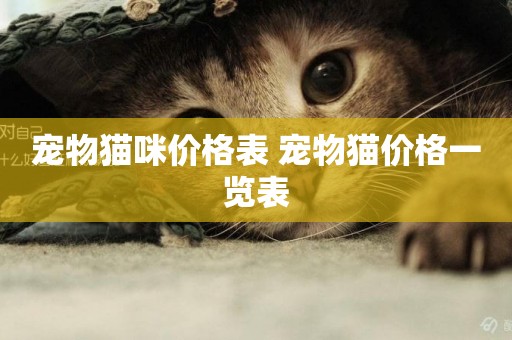 寵物貓咪價格表 寵物貓價格一覽表