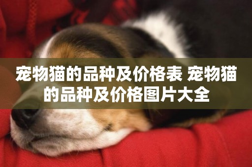 寵物貓的品種及價格表 寵物貓的品種及價格圖片大全