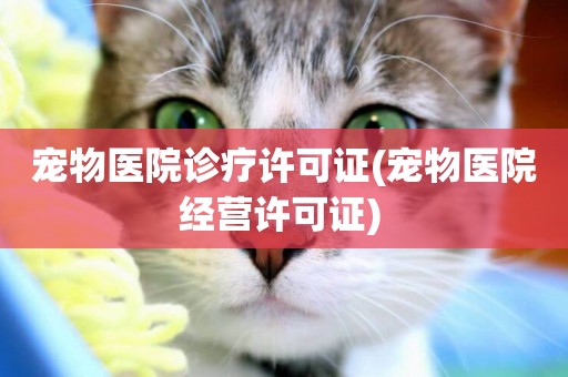 寵物醫院診療許可證(寵物醫院經營許可證) 