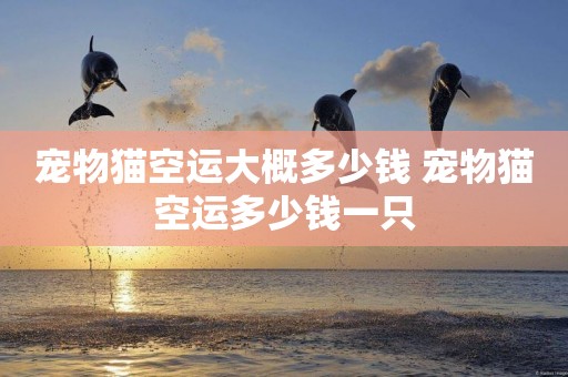 寵物貓空運大概多少錢 寵物貓空運多少錢一只