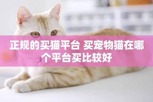 正規的買貓平臺 買寵物貓在哪個平臺買比較好