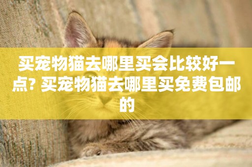 買寵物貓去哪里買會比較好一點? 買寵物貓去哪里買免費包郵的