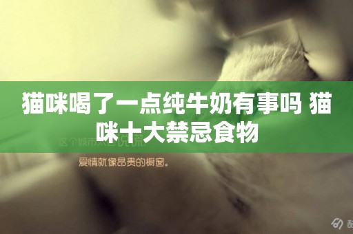 貓咪喝了一點純牛奶有事嗎 貓咪十大禁忌食物