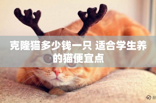 克隆貓多少錢一只 適合學生養的貓便宜點
