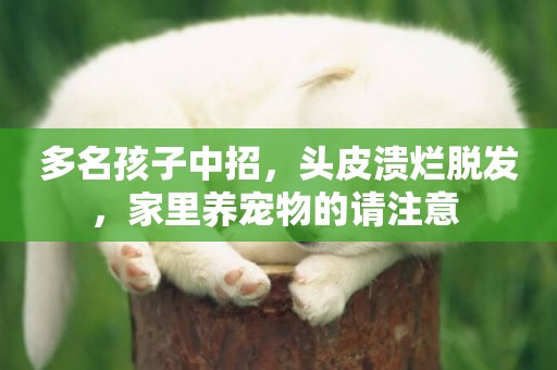 多名孩子中招，頭皮潰爛脫發，家里養寵物的請注意 
