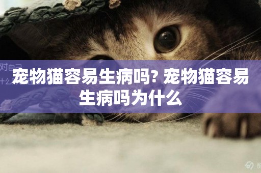 寵物貓容易生病嗎? 寵物貓容易生病嗎為什么
