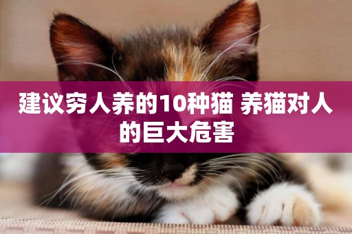 建議窮人養的10種貓 養貓對人的巨大危害