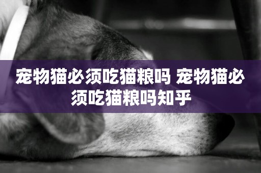 寵物貓必須吃貓糧嗎 寵物貓必須吃貓糧嗎知乎