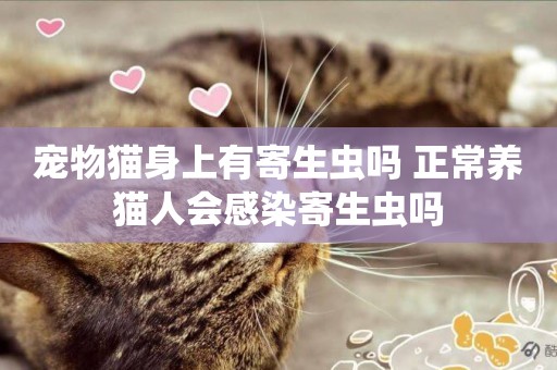 寵物貓身上有寄生蟲嗎 正常養貓人會感染寄生蟲嗎
