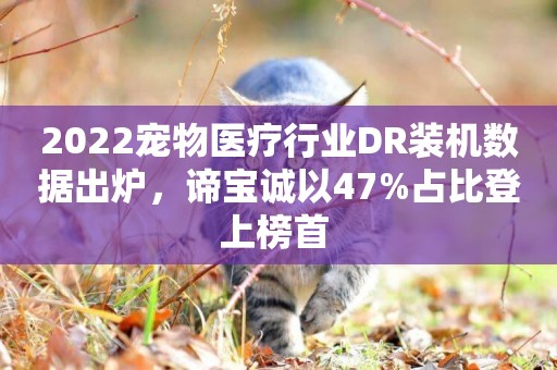 2022寵物醫療行業DR裝機數據出爐，諦寶誠以47%占比登上榜首 