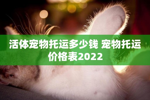 活體寵物托運多少錢 寵物托運價格表2022