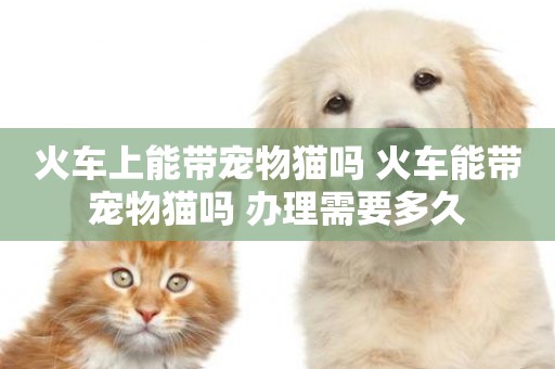 火車上能帶寵物貓嗎 火車能帶寵物貓嗎 辦理需要多久