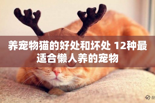 養寵物貓的好處和壞處 12種最適合懶人養的寵物