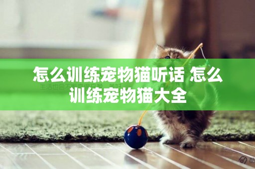 怎么訓練寵物貓聽話 怎么訓練寵物貓大全