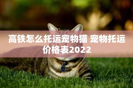高鐵怎么托運寵物貓 寵物托運價格表2022