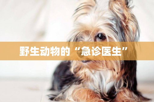 野生動物的“急診醫生” 
