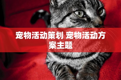 寵物活動策劃 寵物活動方案主題