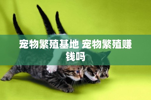 寵物繁殖基地 寵物繁殖賺錢嗎