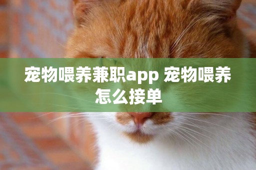 寵物喂養兼職app 寵物喂養怎么接單