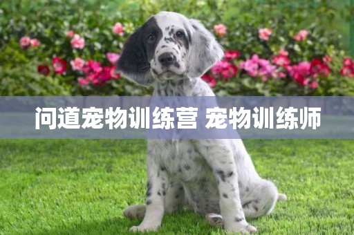 問道寵物訓練營 寵物訓練師