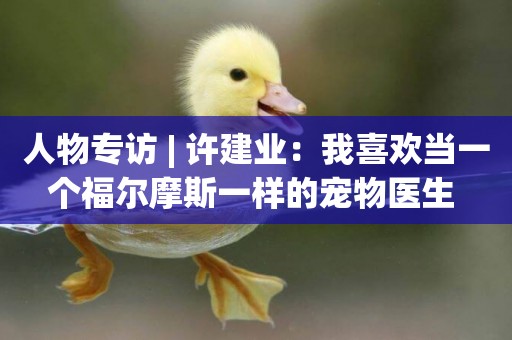 人物專訪 | 許建業：我喜歡當一個福爾摩斯一樣的寵物醫生 
