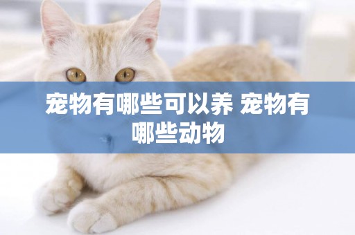 寵物有哪些可以養 寵物有哪些動物