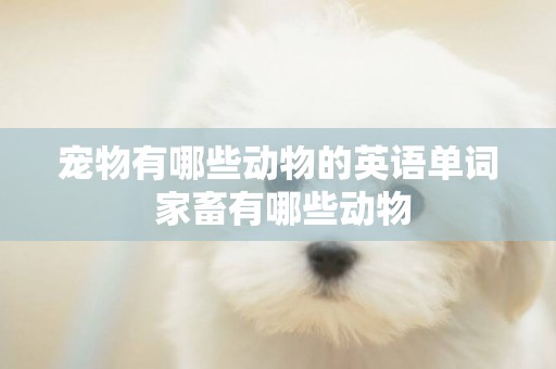 寵物有哪些動物的英語單詞 家畜有哪些動物