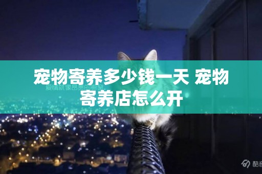 寵物寄養多少錢一天 寵物寄養店怎么開