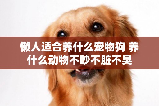懶人適合養什么寵物狗 養什么動物不吵不臟不臭