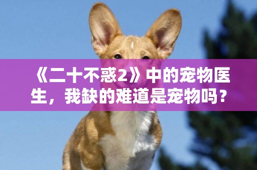 《二十不惑2》中的寵物醫生，我缺的難道是寵物嗎？多圖高清 
