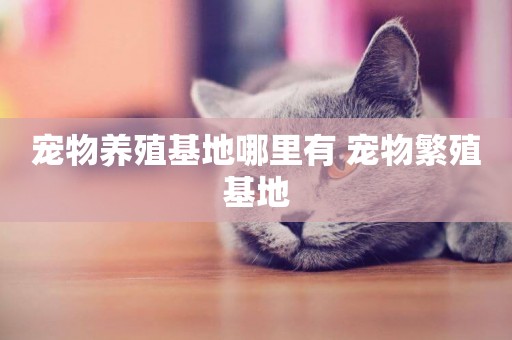 寵物養殖基地哪里有 寵物繁殖基地