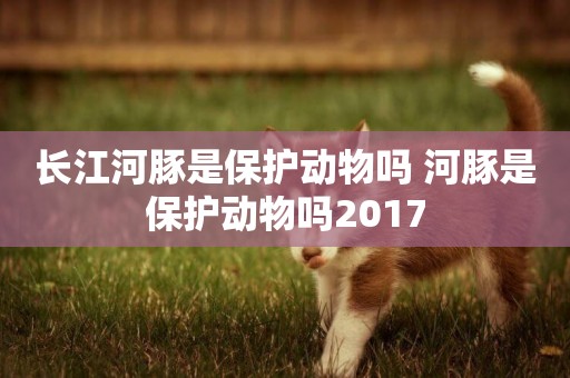 長江河豚是保護動物嗎 河豚是保護動物嗎2017