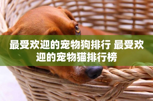 最受歡迎的寵物狗排行 最受歡迎的寵物貓排行榜