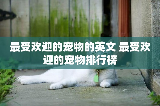 最受歡迎的寵物的英文 最受歡迎的寵物排行榜