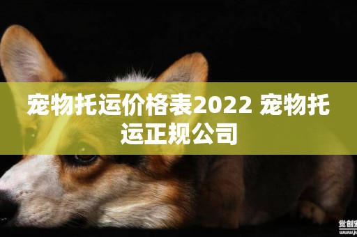 寵物托運價格表2022 寵物托運正規公司