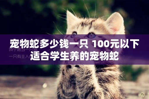 寵物蛇多少錢一只 100元以下適合學生養的寵物蛇