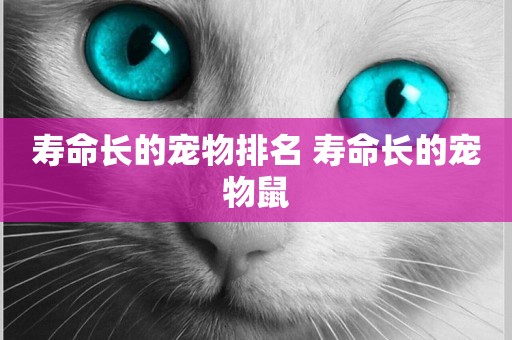 壽命長的寵物排名 壽命長的寵物鼠