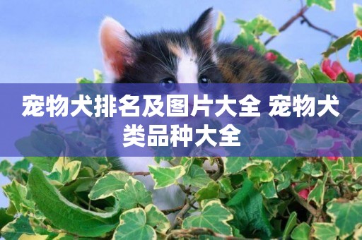 寵物犬排名及圖片大全 寵物犬類品種大全